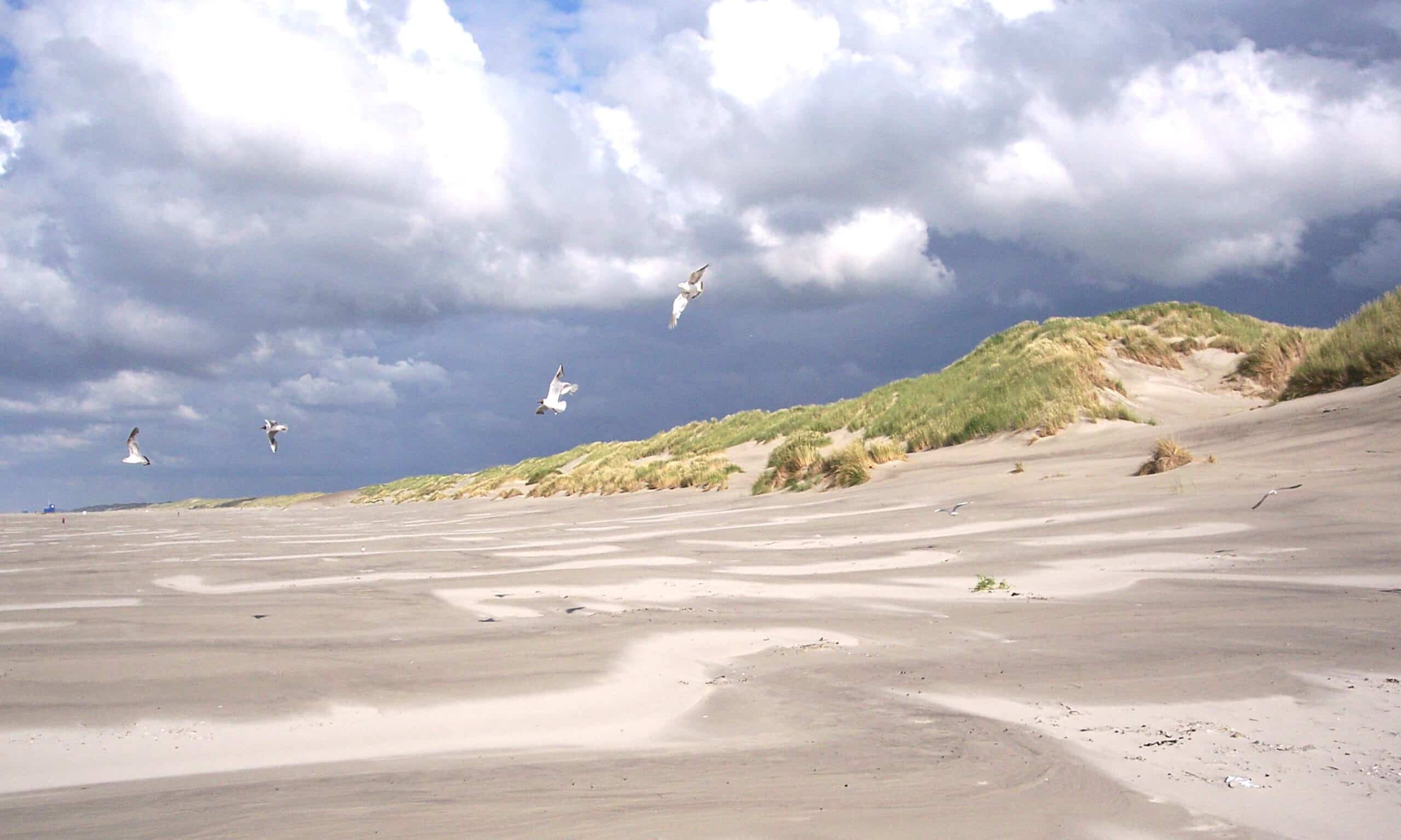 Televisões, roupas e brinquedos dão à costa em ilhas holandesas