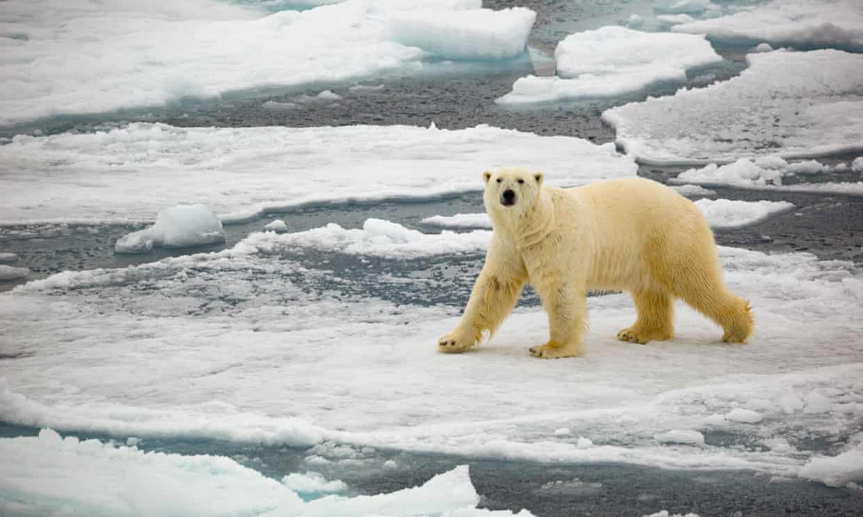 Temperaturas globais provavelmente atingem pelo menos 1 ° C de aquecimento nos próximos cinco anos